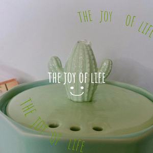 Bebedero de Cerámica con Forma de Cactus para Mascotas, Fuente de Agua Automática con Circulación Silenciosa, Dispensador de Agua Anti-Manchas Negras para Gatos - Product Image 4