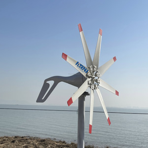 Turbinas eólicas <span class=keywords><strong>para</strong></span> el hogar, generador de energía alternativa de 12V/24V, 1000W, 1kW - Product Image 5