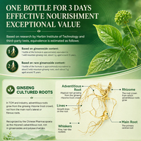 KODILIN Nouvelle Arrivée Ginseng Cultivé Sans Pesticides 10 Bouteilles 35g Complément Alimentaire Naturel Fournisseur Racine de Ginseng Instantanée