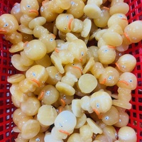 Cristal de Calcita Naranja Natural Tallado en Forma de Animal de Dibujos Animados, Patito Amarillo Enojado, para Adornos y Juguetes Infantiles