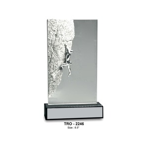 Trofeo de Metal Achievers de proveedores indios por honrar la dedicación o el compromiso y el logro constante para el suministro mundial - Product Image 5