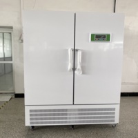 Chambre climatique artificielle à grande échelle adaptée à la germination des graines