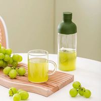 Bouteille d'eau réutilisable en verre soufflé à la main de 450 ml (15 oz) avec filtre pour boissons froides, thé infusé à froid, vin et jus