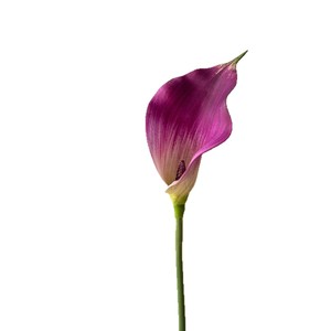 Grande fleur artificielle de lys calla en PVC/PU, toucher réel, pour décoration de mariage, de maison et accessoire photo - Product Image 5