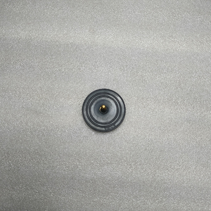 岩崎ダイアフラム - Product Image 2