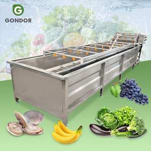 Machine de lavage automatique industrielle pour fruits et légumes (fraises, pommes) et ligne de production à vendre - Product Image 1