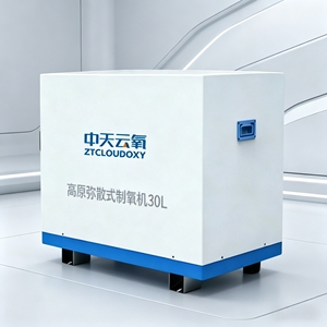 Concentratore di Ossigeno Diffuso ad Alta Quota da 30L, Macchina per Ossigeno a Risparmio Energetico per Aree Altopiache - Product Image 4