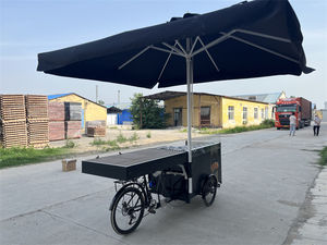 Tricycle Cargo Électrique, Remorque Alimentaire, Vélo Café pour Aliments avec Panneau Solaire, Vélo Tricycle, Chariot Alimentaire, Vélo à Glaces, Café - Product Image 5