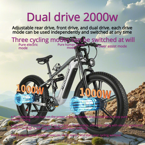 Bicicleta de Montaña de Doble Motor de 26 Pulgadas y 2000W, Bicicleta Eléctrica con Batería de Alta Capacidad para Exteriores y Aventuras WHL-tb4500 con 26 Pulgadas - Product Image 2