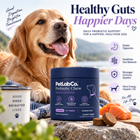 Friandises à mâcher molles probiotiques pour la santé intestinale des chiens, étiquette personnalisée, avec huile de citrouille et de saumon, inuline pour l'équilibre digestif