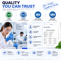 L-Théanine Focus – Bandes Orales à Dissolution Rapide avec Bacopa, Sans Caféine, Nootropiques Apaisants – OEM Marque Privée – 30 Unités