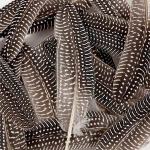 Vente en gros de plumes d'ailes de faisan Plumage de <span class=keywords><strong>poule</strong></span> de pintade avec échantillon gratuit Agréable et plumeux - Product Image 5