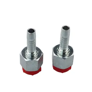 Raccordi adattatori idraulici per valvole a sfera ad alta pressione ISO femmina In acciaio inossidabile 15611 di alta qualità 20411-06 nel DN6-40