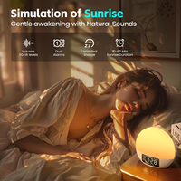 Portable intelligent santé son blanc bruit Machine réveil lumière lampe lever du soleil réveil pour bébé enfant nuit dormir pour un usage domestique