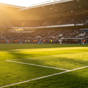 <span class=keywords><strong>หญ้า</strong></span>เทียมแบบแผ่นความหนาแน่นสูง 50 มม. สำหรับ<span class=keywords><strong>สนาม</strong></span>ฟุตบอลในร่ม/กลางแจ้ง ป้องกันรังสียูวี ทนทานต่อการสึกหรอ - Product Image 3