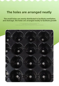 Vassoio per Semina Rettangolare <span class=keywords><strong>a</strong></span> 50 Fori, Vaso per Piantine, Attrezzo per la Semina, Vassoio in Plastica per Ortaggi, Vendita all'Ingrosso - Product Image 4