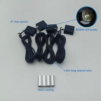 Mini kit LED Starlight à fibres optiques RGBW 1200 fibres de 0,5 mm 16W, contrôle via APP/Wi-Fi, conception légère en fibre PMMA
