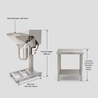 EU Food Grade 304 RVS Commerciële Groente- en Fruitpers Industriële Hoge Snelheid Puree Machine