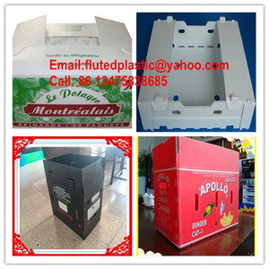 <span class=keywords><strong>Coreflute</strong></span> tấm/4mm 5mm 6mm trắng Coro bảng nhựa/Corex tấm - Product Image 4