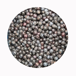 <span class=keywords><strong>Myrtilles</strong></span> <span class=keywords><strong>surgelées</strong></span> de qualité supérieure, directement de l'usine |   IQF Propre et Sûr |   Fournisseur certifié HACCP, ISO pour l'exportation - Product Image 1