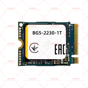 Disque SSD pour serveur M.2 2230, disque SSD BG5-2230-1T - Product Image 3