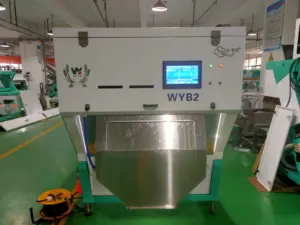 WENYAO mesin pengolahan bawang putih Kupas AI produsen penyortir warna serpihan bawang putih cerdas