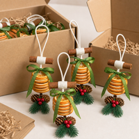 Coffret cadeau de sachets parfumés pour voiture, design rustique aux senteurs d'agrumes de Noël