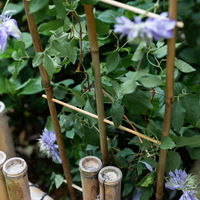 Soporte de Bambú Natural Hecho a Mano Estilo Chino para Plantas Trepadoras y Valla Decorativa para Jardín/Patio