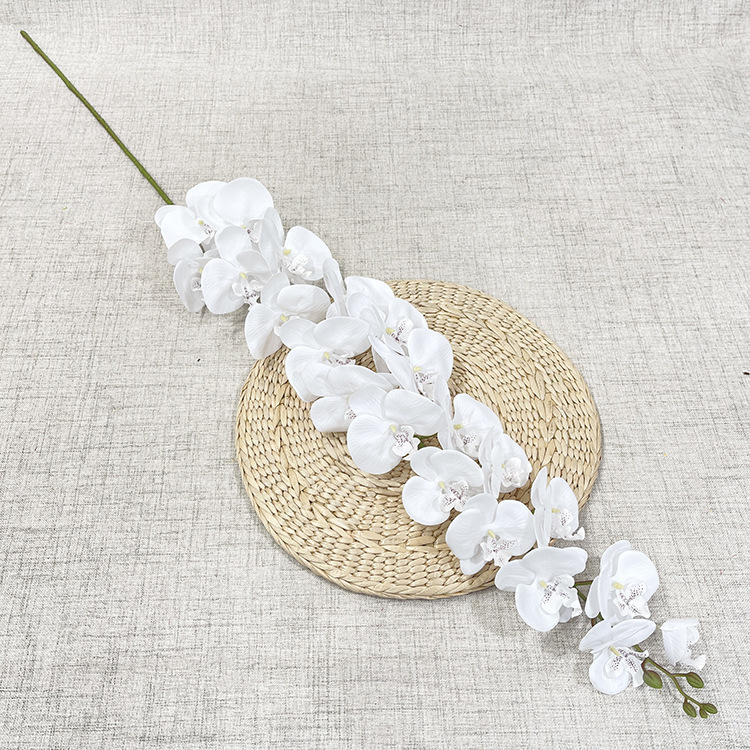 #1 Orchidée 15 Têtes