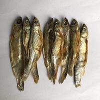 Poisson séché Riche en protéines Anchois séchés 2-3cm et 5-8cm