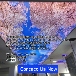 OEM giường phòng trần trang trí nội thất đêm bầu trời sao thiết kế LED sợi quang đèn trang trí films in căng trần thiết kế phim - Product Image 2