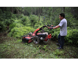 Cortadora de Césped Montada en Tractor con Tecnología <span class=keywords><strong>BCS</strong></span> Italiana, Precio de Fábrica, Cortadora de Martillos, Tractor Manual de 2 Ruedas Modelo 740PS con Certificación CE - Product Image 2