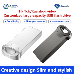 <span class=keywords><strong>Clé</strong></span> <span class=keywords><strong>USB</strong></span> miniature en métal avec logo <span class=keywords><strong>personnalisé</strong></span>, haute vitesse USB2.0, 8 Go-128 Go, nouvelle garantie de 3 ans, <span class=keywords><strong>porte</strong></span>-clés - Product Image 4
