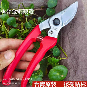 Sécateur de jardin Taiwan Jiuyilang 130 avec lame en acier et poignée antidérapante pour l'élagage des arbres et des fruits - Product Image 5