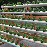 Système hydroponique de culture de légumes d'intérieur, serre verte pour la culture des tomates,