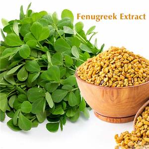 Plants Extract Natural Fenugreek Seed Powder Fenugreek Extract - Product Image 3