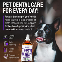 Spray buccal pour chiens et chats, soin dentaire, éliminateur de plaque dentaire, hygiène buccale, nettoyage sans irritation, produits d'hygiène buccale