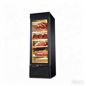 Congelador de carne de una sola puerta |   Refrigerador de Cura en Seco con Pantalla Digital y Ventilación para Curado de Carne de Res - Product Image 5