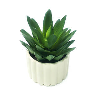 Maceta <span class=keywords><strong>de</strong></span> Cerámica Ecológica con Diseño <span class=keywords><strong>de</strong></span> <span class=keywords><strong>Flor</strong></span> Suculenta, Decoración Artística Creativa, Planta Suculenta Artificial <span class=keywords><strong>Echeveria</strong></span> en Maceta, Decoración para Hogar y Escritorio - Product Image 2