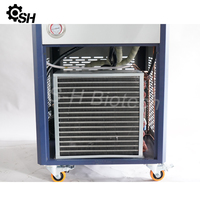 Pompe de circulation de liquide de refroidissement à basse température fermée DLSB30-30 le refroidisseur d'équipement de laboratoire 10L/20L/30L/50L