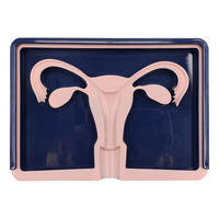 Modèle de formation pour dispositif contraceptif intra-utérin (DIU) féminin Pratique éducative pour la formation des étudiants en sciences médicales
