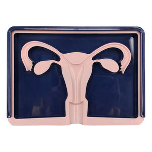 Model pelatihan kontrasepsi dalam rahim wanita, alat kontrasepsi dalam sains medis (IUD) untuk latihan siswa perawat - Product Image 1