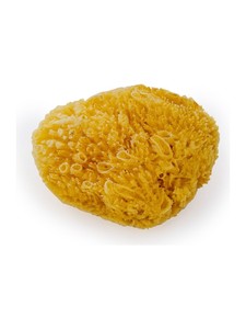 Bulk Eco-Friendly Sustainable Natural Honeycomb Sea Sponge Extra Soft Baby Bath Sponge Gentle Cleaning - Product Image 1