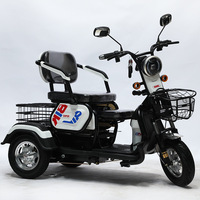Tricycle Électrique 48V à Trois Roues avec Toit Ouvert, Moteur de Fret Urbain pour Usage en Ville