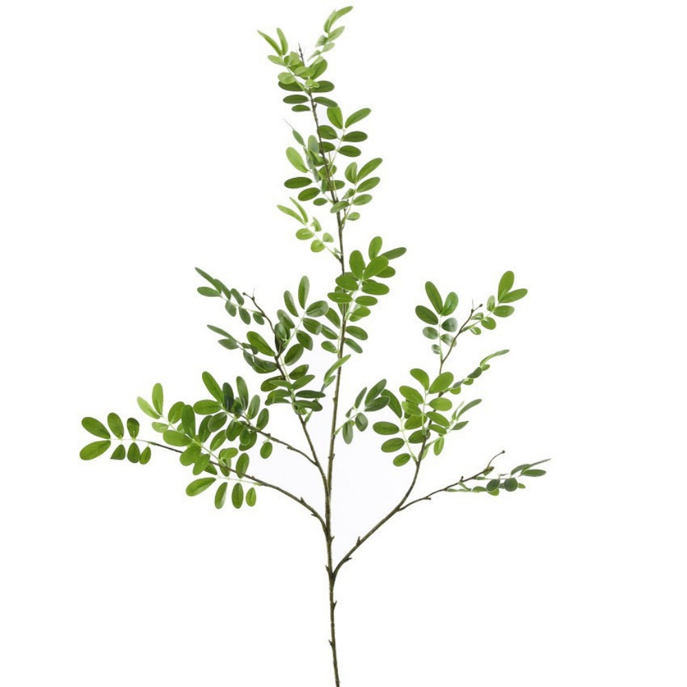 Vert