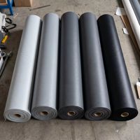 Rouleau de tissu vinyle en bâche PVC flexible 650 g/m² avec longueur personnalisée pour structures gonflables et toitures marines