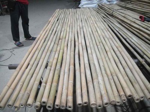Materiais Brutos de Bambu, Cana de Bambu, Poste de Bambu para Plantas - Product Image 2