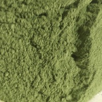 Poudre de Catnip Personnalisée avec Logo OEM, 100% Naturelle, Menthe pour Chat en Tube, Poudre de Catnip Fraîche 100% Naturelle
