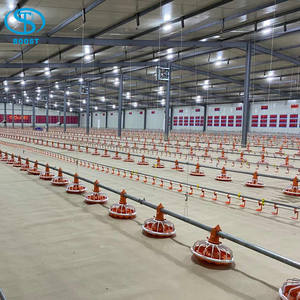 Equipamentos de fazenda de Aves alimentador Automático automatizado e tetina - Product Image 2