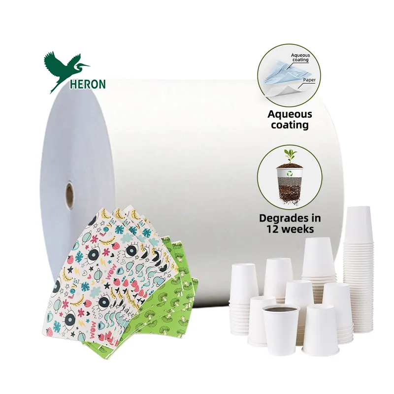 Water-based materials coated paper cup raw materials in sheet hot sale raw material waterproof paper roll to sheet supplier